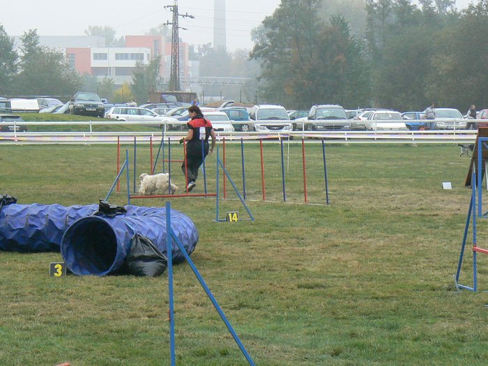 Mladá Boleslav - slalom