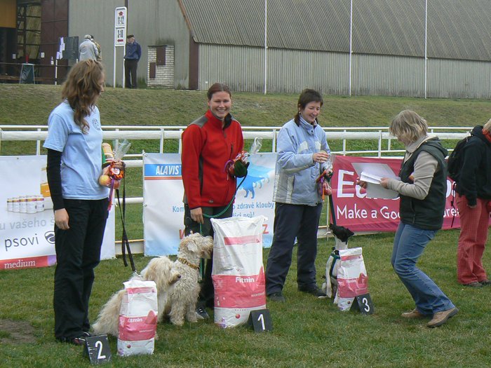 Mladá Boleslav - 1. místo - Teriéří naděje 2008 medium