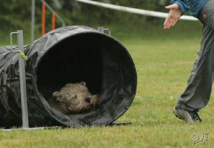 Větřkovice - Moravskoslezský pohár 2009 - 10