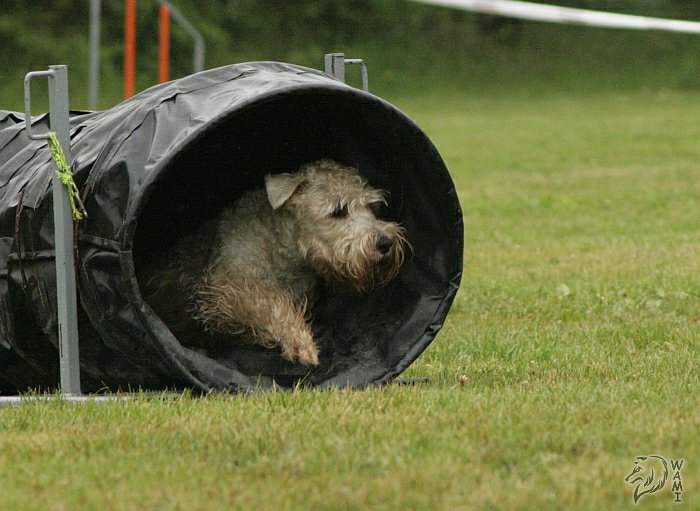 Větřkovice - Moravskoslezský pohár 2009- 11