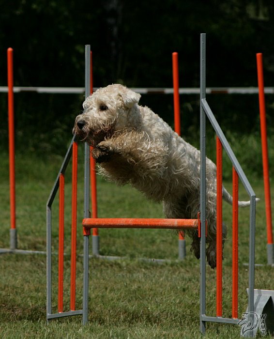 Větřkovice - Moravskoslezský pohár 2009 - 15