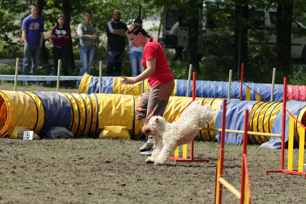 katmaj derby 2010