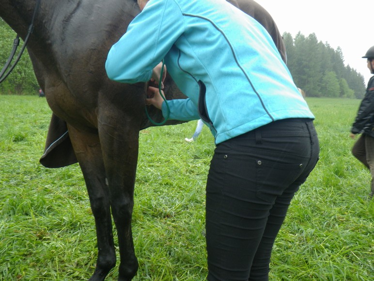 IMGP1150