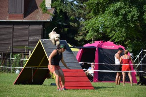 dsc_0104.jpg